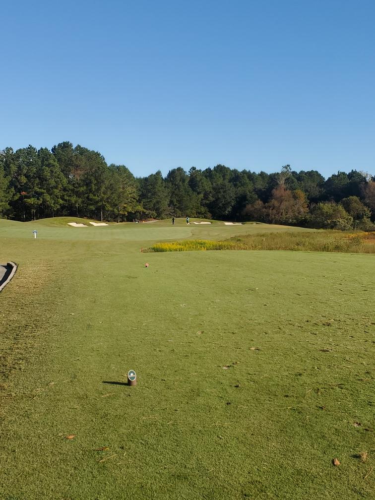 Mike Palermo hole in one, photo 2