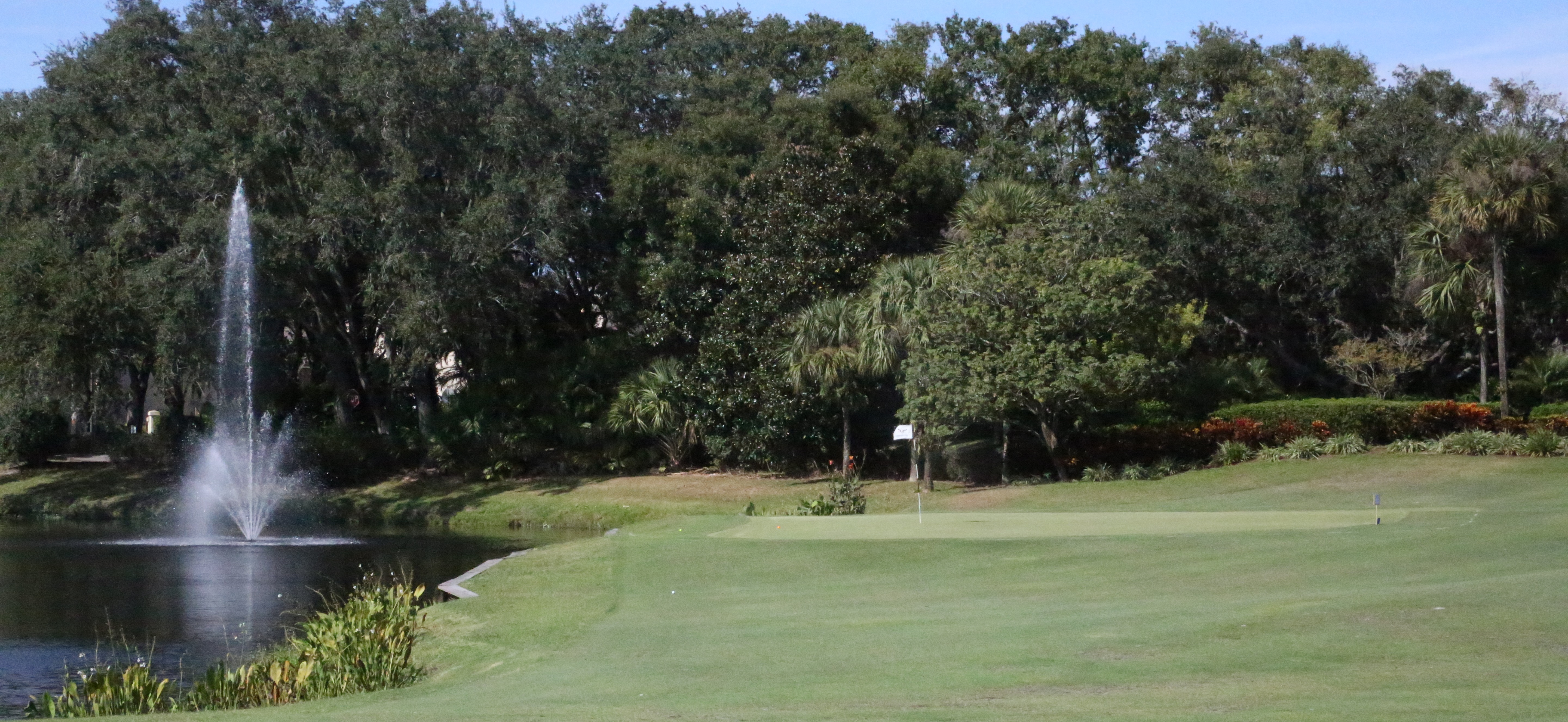 Hawk's Landing